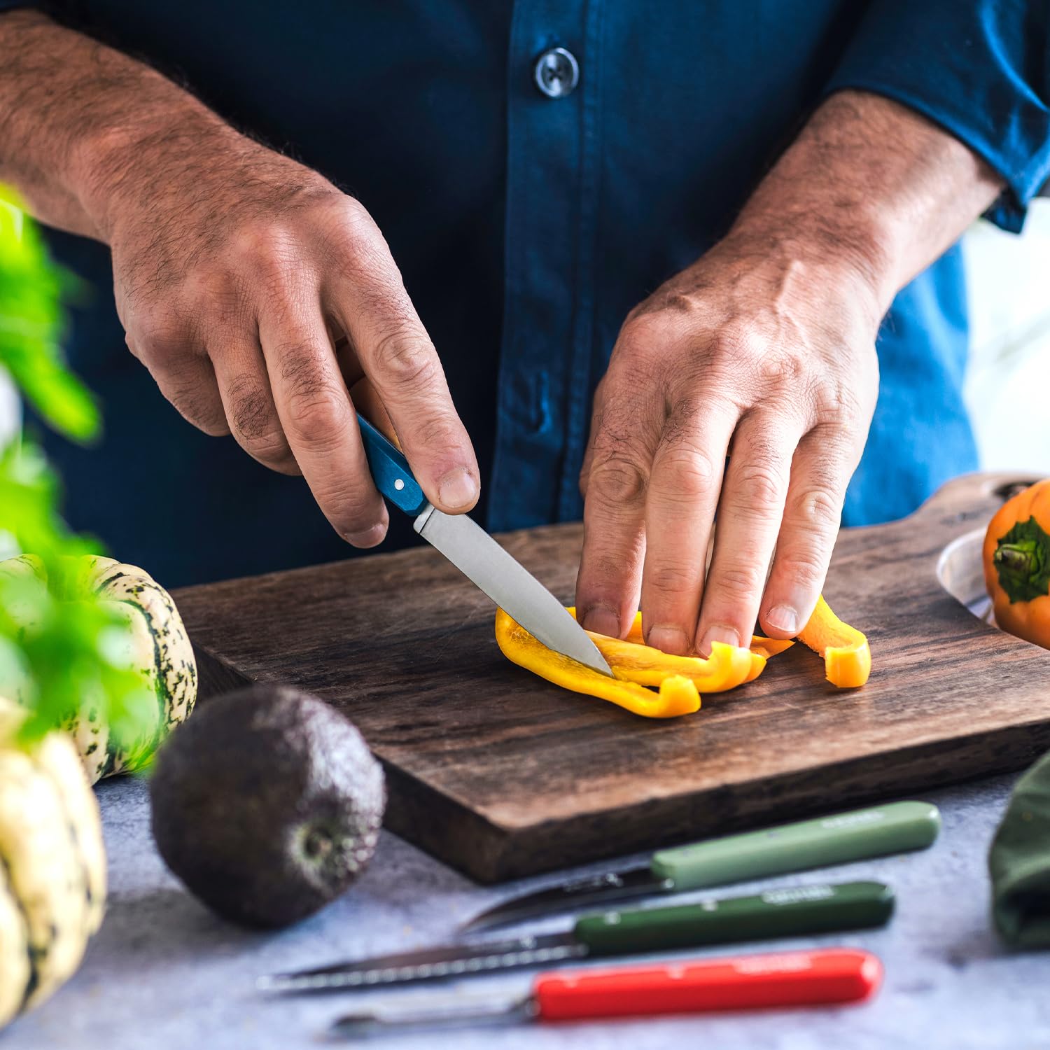 Opinel - Set mit 4 Gemüsemessern in Landschaftsfarbe N112. OPINEL