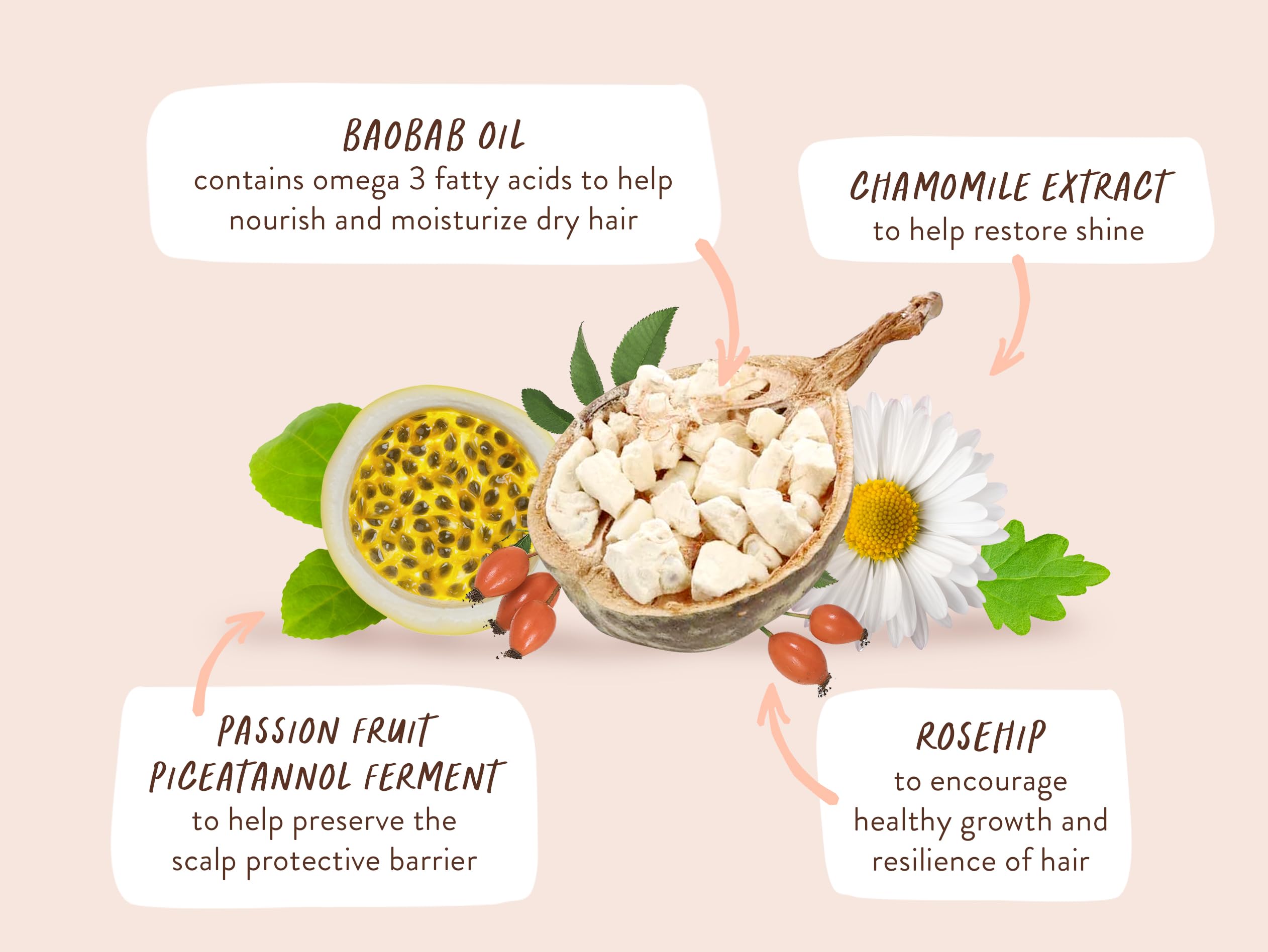 Babo Botanicals Defining Baobab & Rosehip Shampoo + Bundle with Conditioner – For extra dry, curly hair – Smooth & Define – Passion Fruit Ferment for scalp