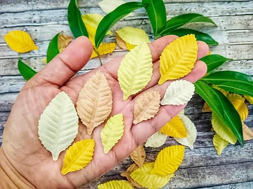 Miniatura 10 de NAVA CHIANGMAI Hojas rosas, flores, morera, manualidades, hojas, flores artificiales, hojas recortadas, papel para álbumes de recortes, boda, casa