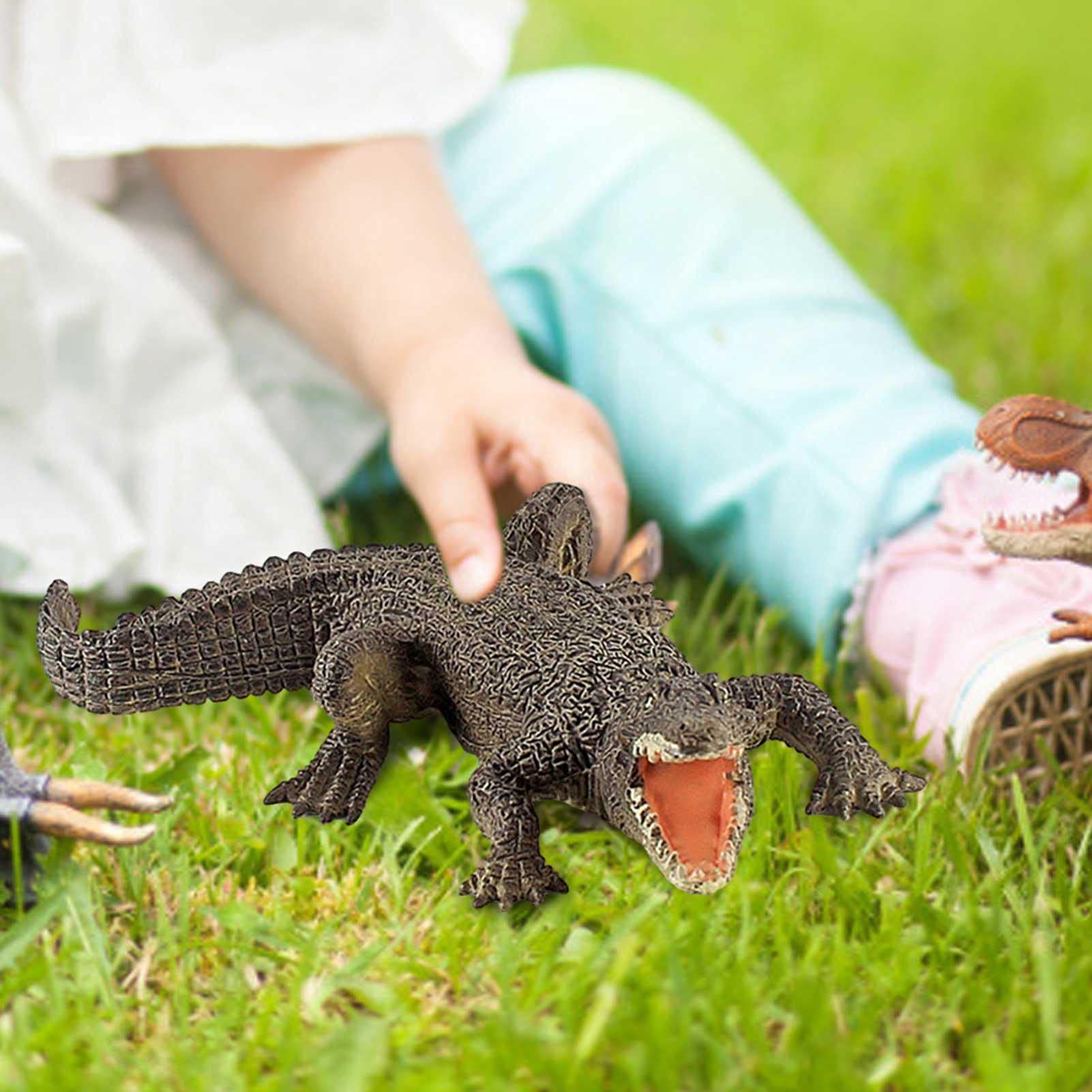 Amazon.co.jp: クロコダイルフィギュアのおもちゃ、野生生物の動物の