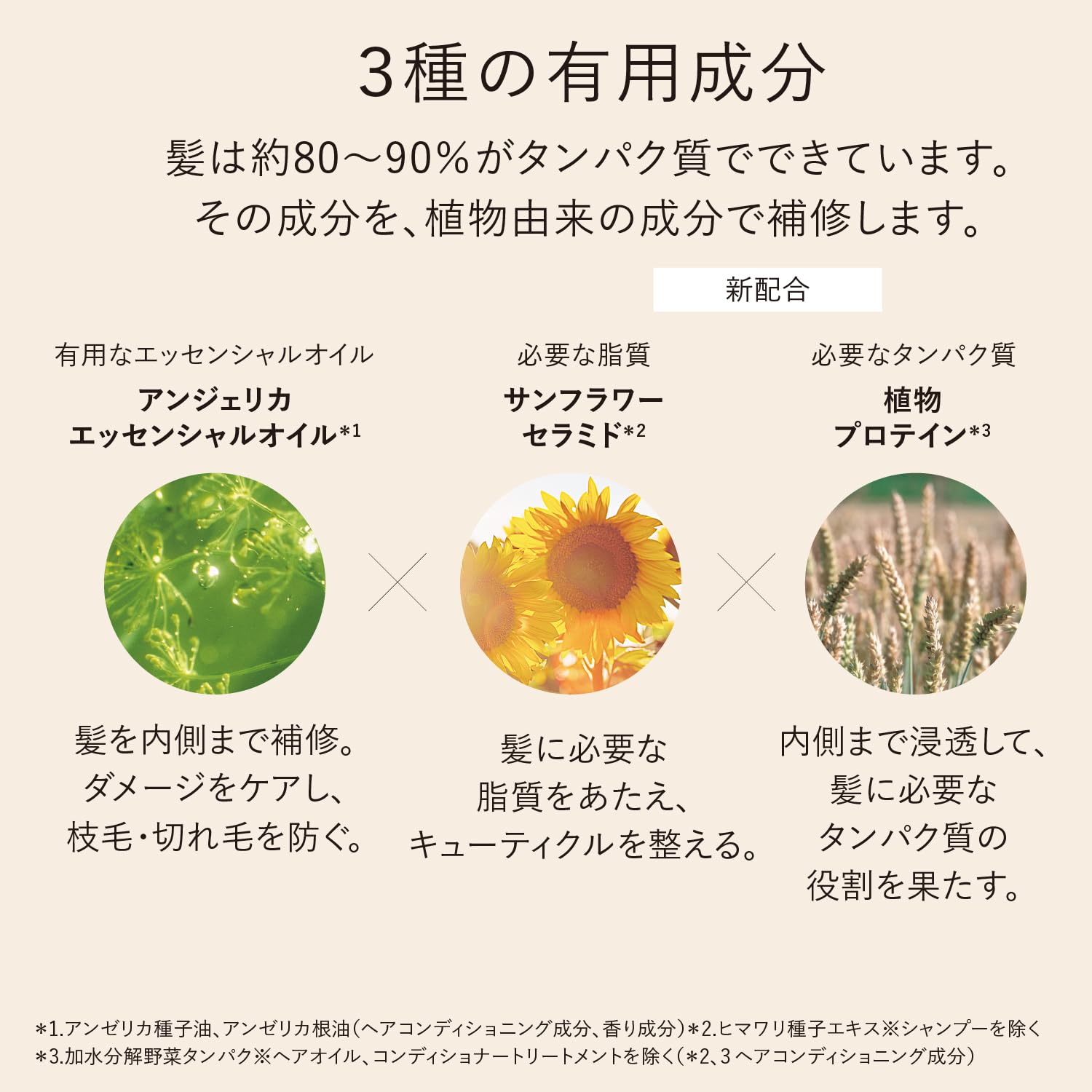 Amazon.co.jp: インテンシヴリペア コンディショナー（レフィル