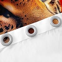 Vista 6 de Cortinas de oscurecimiento con estampado de leopardo y rosas, cortinas románticas con estampado de flores rojas para ventana, cortina 3D de animales