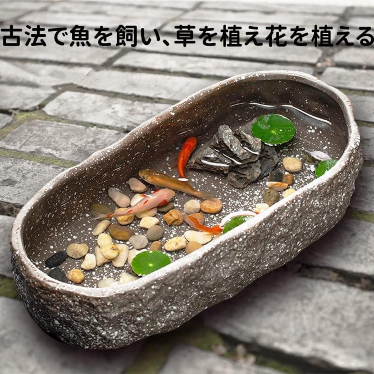 Amazon | Riuuyyi 金魚鉢 金魚 メダカ 鉢 メダカ鉢 睡蓮鉢 水耕植木鉢