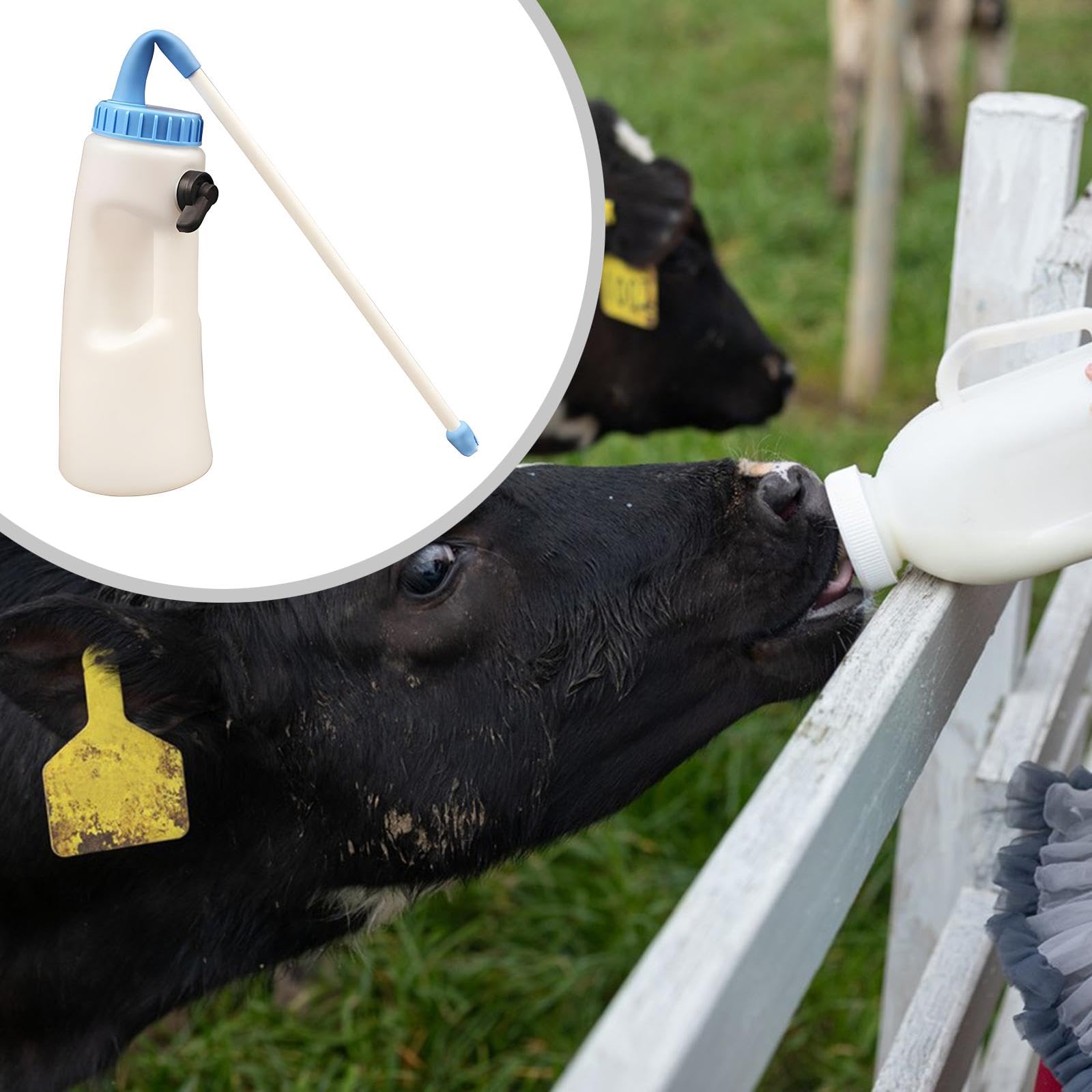 Attrezzatura agricola per l'alimentazione dei vitelli, Accessori, Essenziale, Facile da Usare, Resistente all'Usura, per, 2.5 L