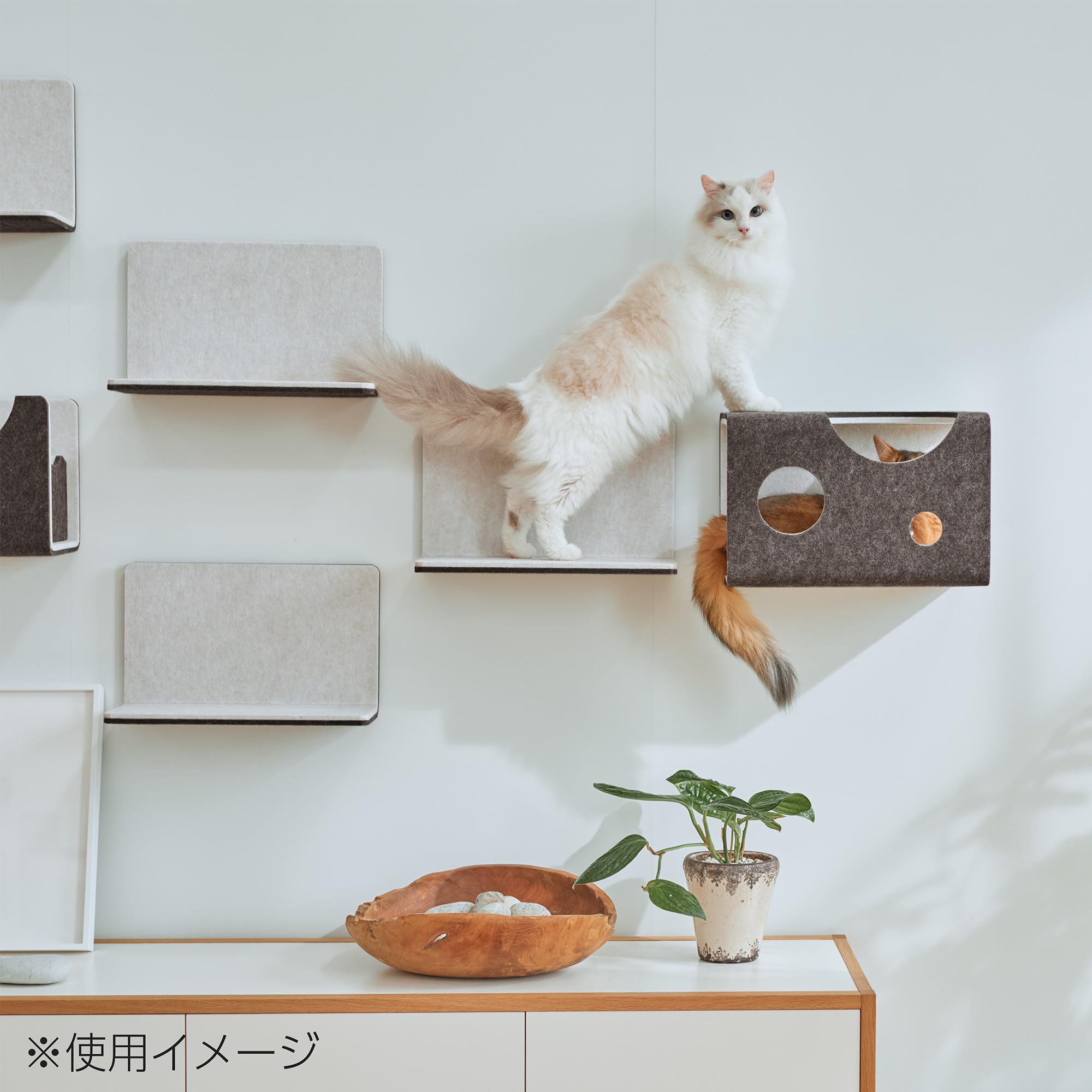 Amazon.co.jp: LIXIL(リクシル) キャットウォーク 猫壁(にゃんぺき