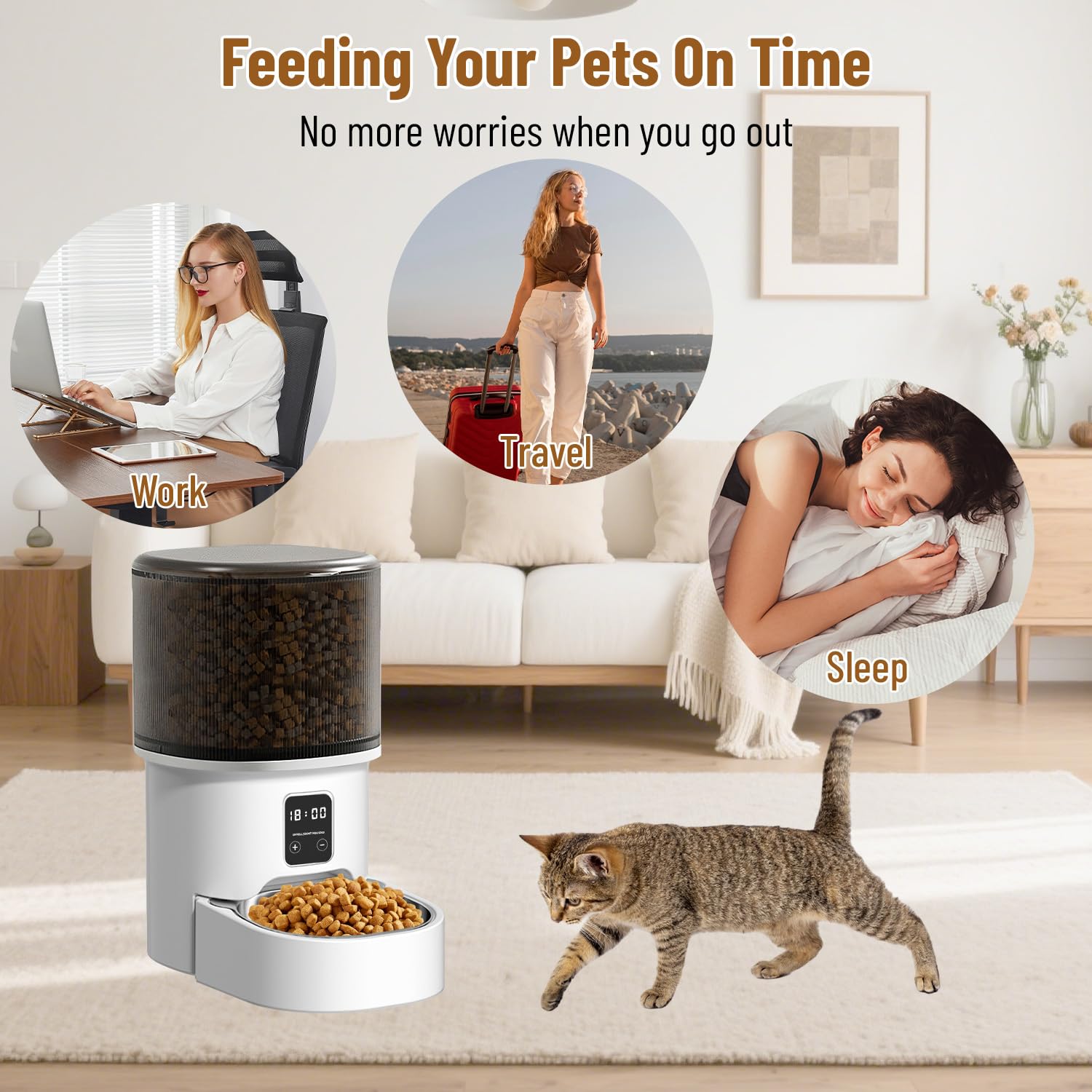 Distributore Automatico Cibo per Gatti e Cani 4L, Mangiatoia con Timer, 1-6 Pasti al Giorno, Dispenser Crocchette, Alimentatore Intelligente per Animali Domestici (Nero - Basic - 4L)