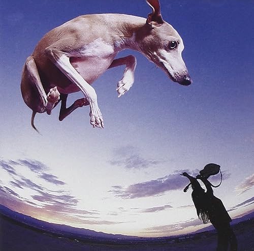 FLYING DOG