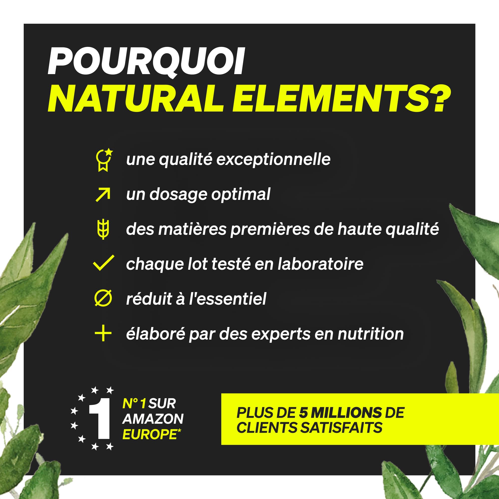 natural elements Whey Protéine Chocolat – 23g Protéines/Portion – Faible en Sucre – Riche en BCAA – Favorise Croissance & Récupération Musculaire – Mélange Facile pour Shakes & Smoothies – 1kg