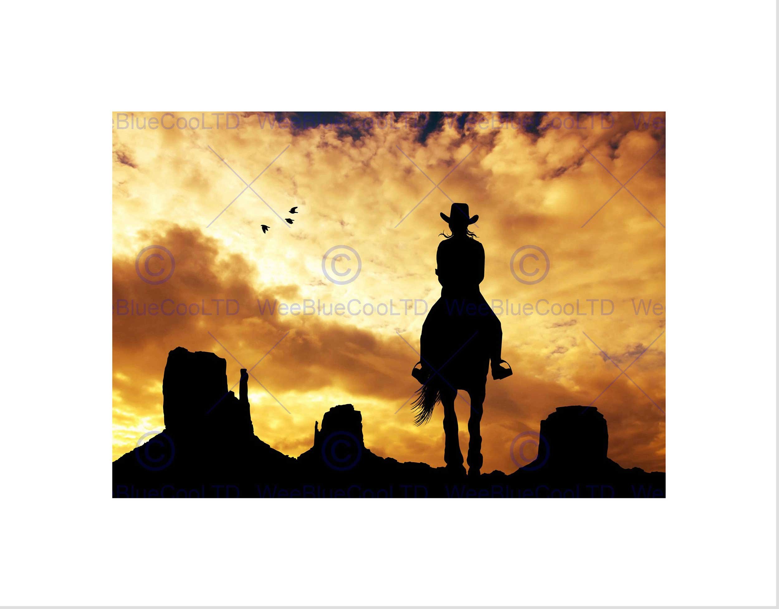 Wee Blue Coo PHOTO COMPOSITION COWGIRL SILHOUETTE MONUMENT VALLEY FRAMED ART PRINT B12X8321