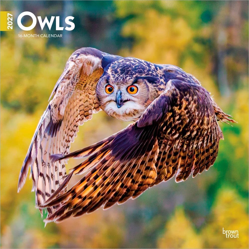 Owls 2027 12 X 24 Inch (Hanging) Monthly Square Wall Calendar Plastic-Free: Original BrownTrout-Kalender [Mehrsprachig] [Kalender]