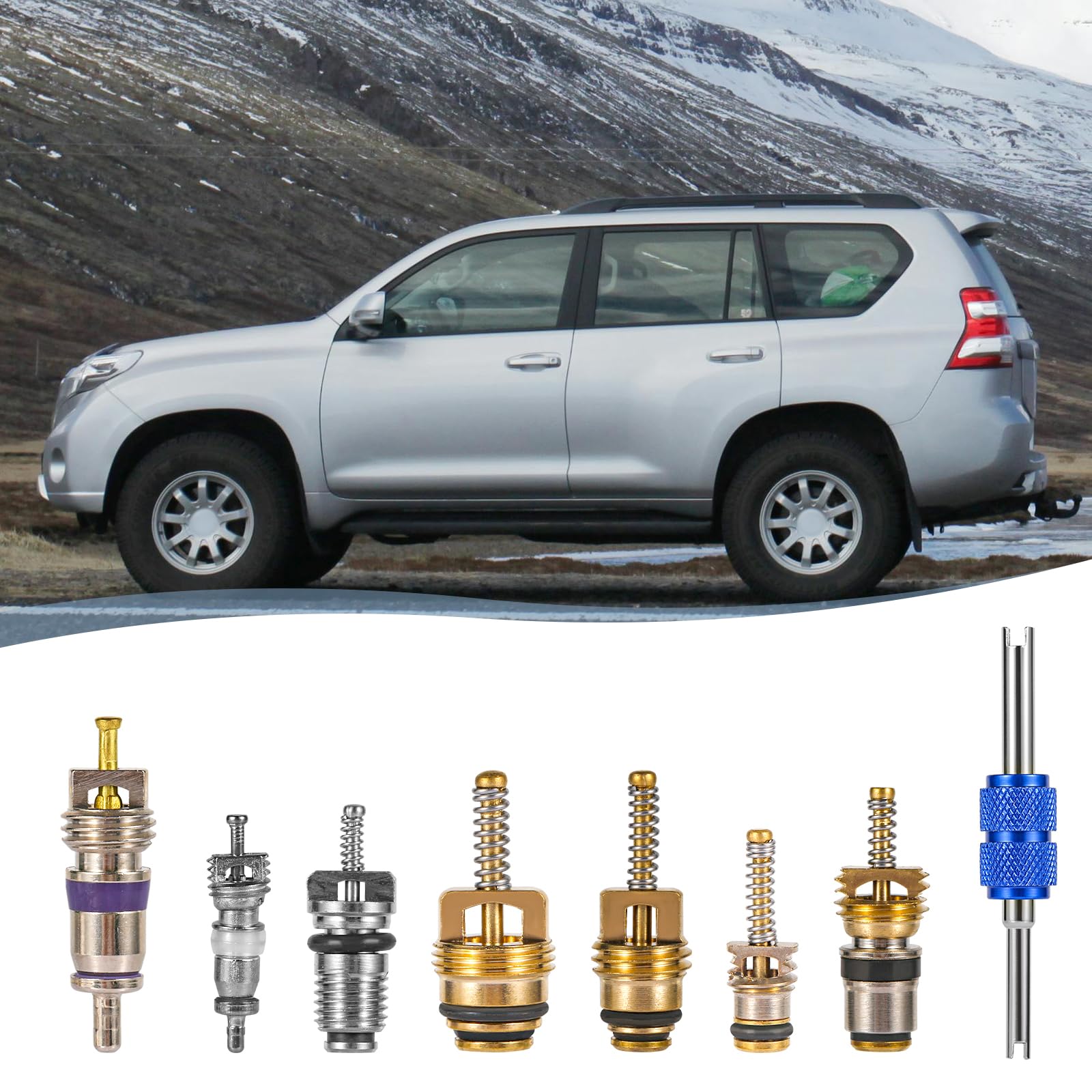 PEUTIER 40 Pzs Kit de Núcleo de Válvula de AC, Núcleo de Válvula de Aire Acondicionado de Coche con Herramienta de Desmontaje Kit de Válvula Schrader A/C R12 R134a para la Mayoría de los Coches