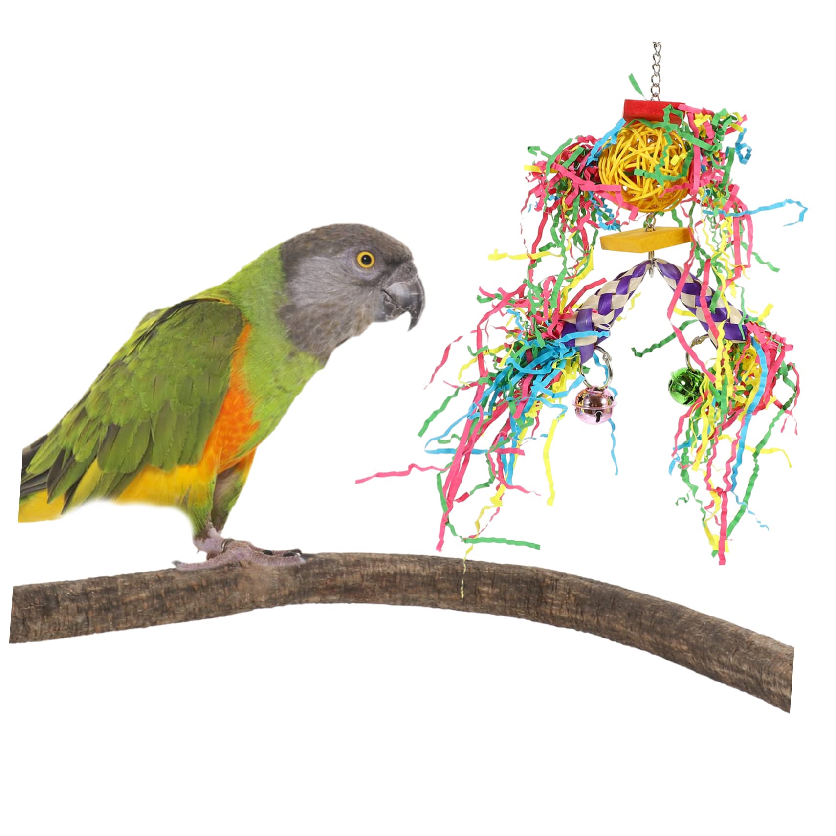 POPETPOP 2ensembles Jouets à Mâcher pour Perroquets Accessoires Suspendus pour Cage à Oiseaux Stimule Activité Physique Oiseaux