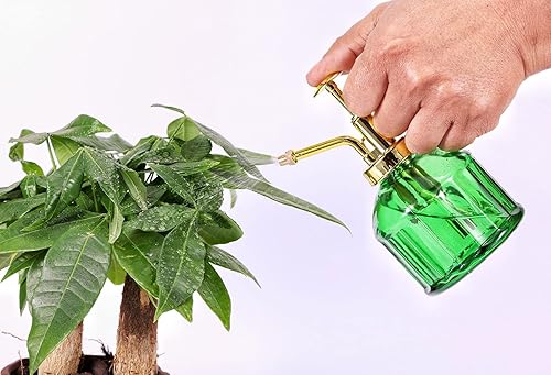 Miniatura 5 de Botella rociadora de vidrio para plantas, botella de rociador de agua de vidrio verde de 6.5 pulgadas con bomba superior dorada, regadera pequeña,