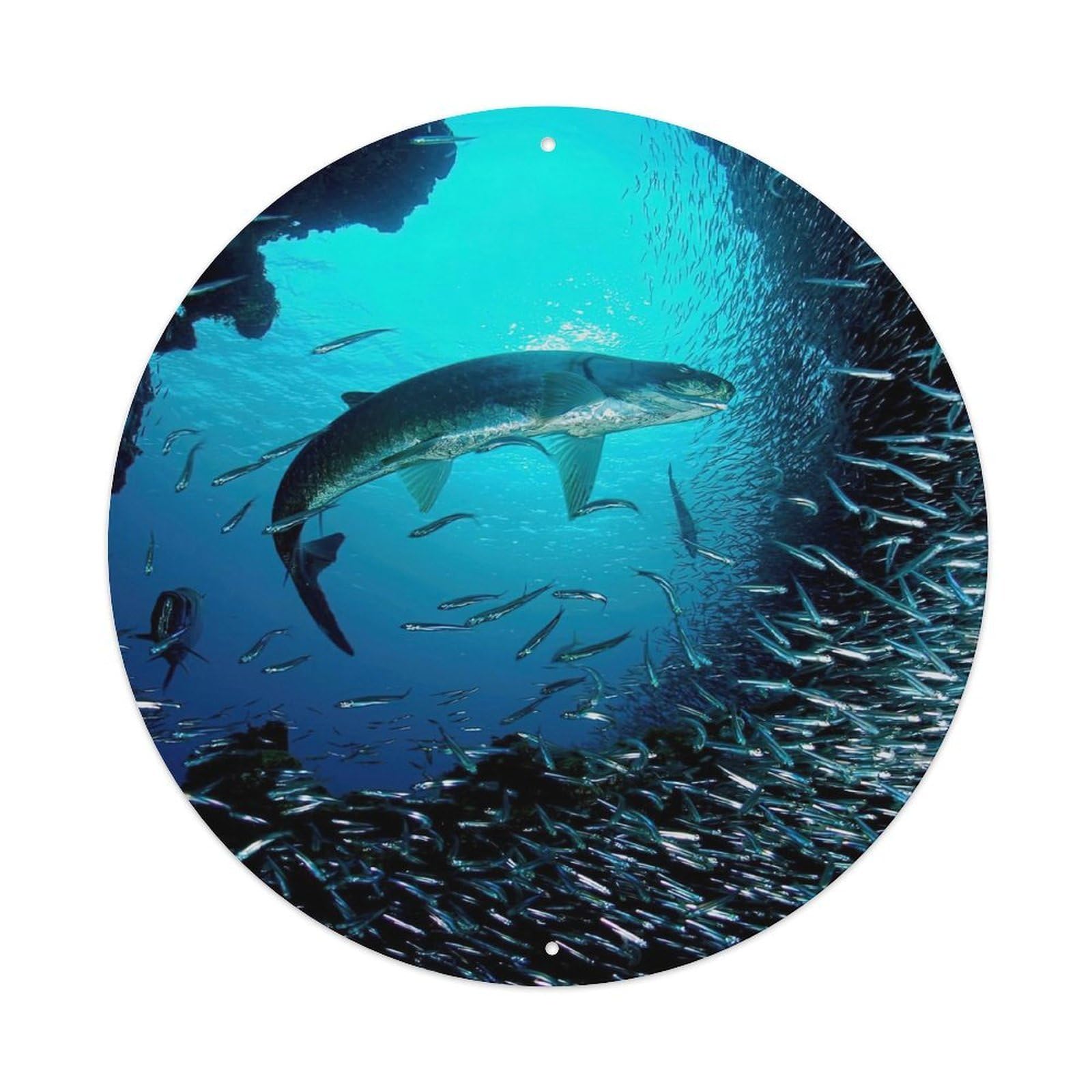 Underwater Sea Fish Marine Life Coral Reef Metal Tin Sign