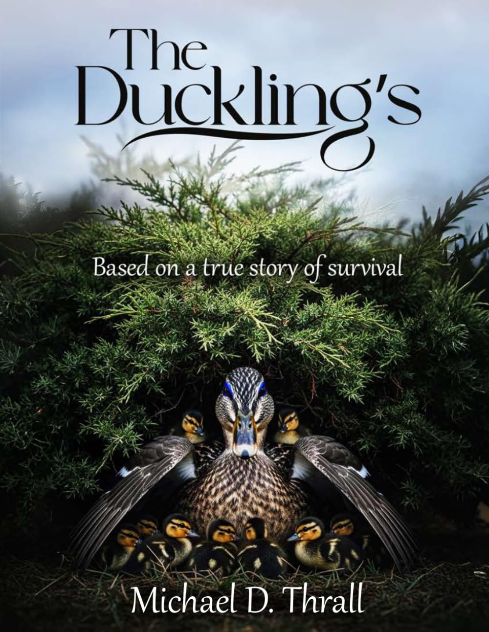 The Duckling's