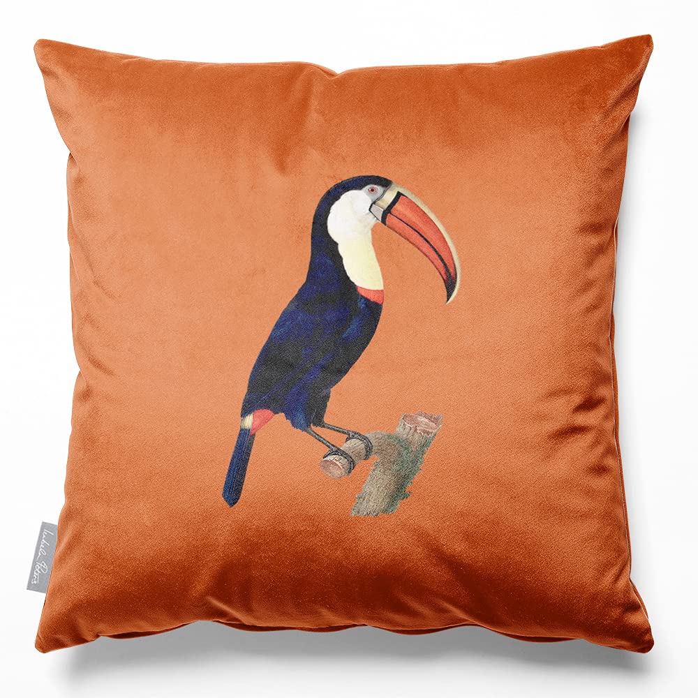 Izabela Peters Toucan - Burnt Orange Velvet Cushions - Eco-Friendly, 40 Cm, Chair & Sofa Cushions