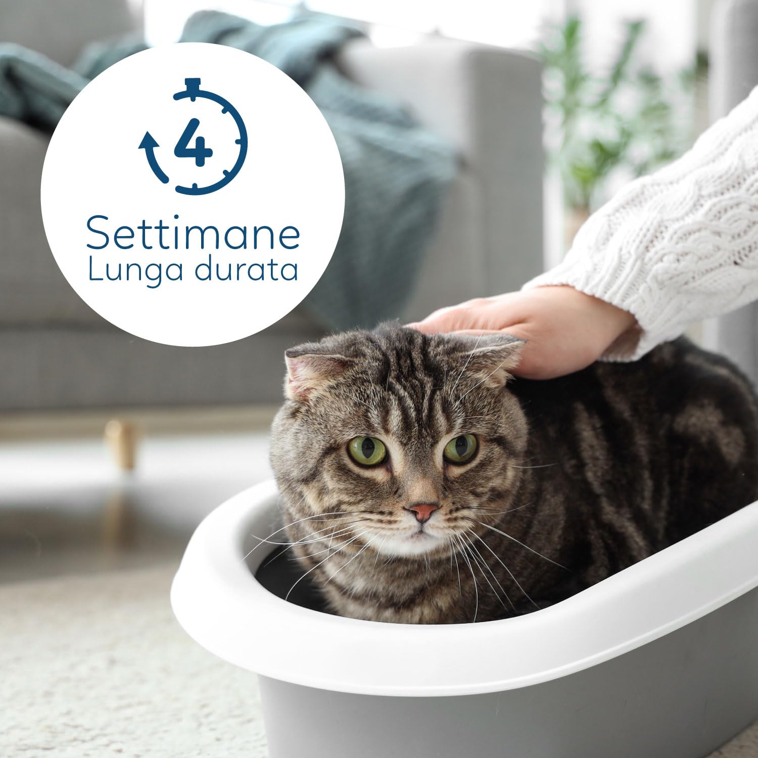 AQPET Catty Pure+ lettiera al silicio per gatti 6x5L (30 L) – con tecnologia Check-pH – cristalli reattivi al pH per il monitoraggio urinario – antibatterica, super assorbente e anti-odore