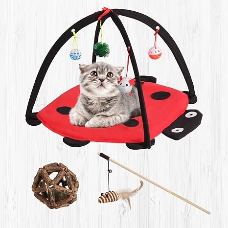 cat play mat amazon
