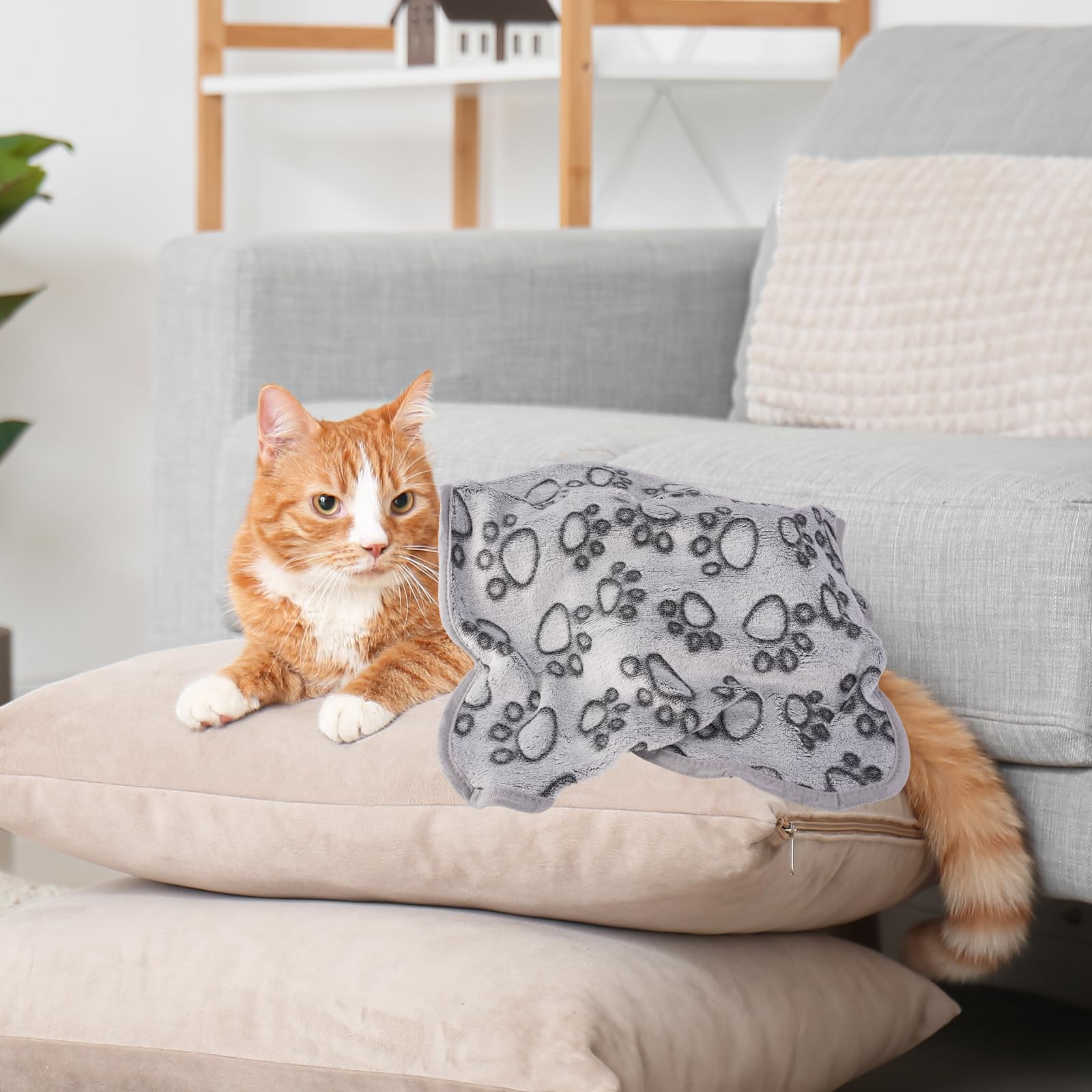 3 Pièces Plaid pour Chat en Flanelle,60×40cm Couverture Douce pour Chien et chat,couverture pour Chien Chaton,Couverture pour chien chats Pelucheuse et Lavable,pour Petits et Moyens Chiots et Chatons