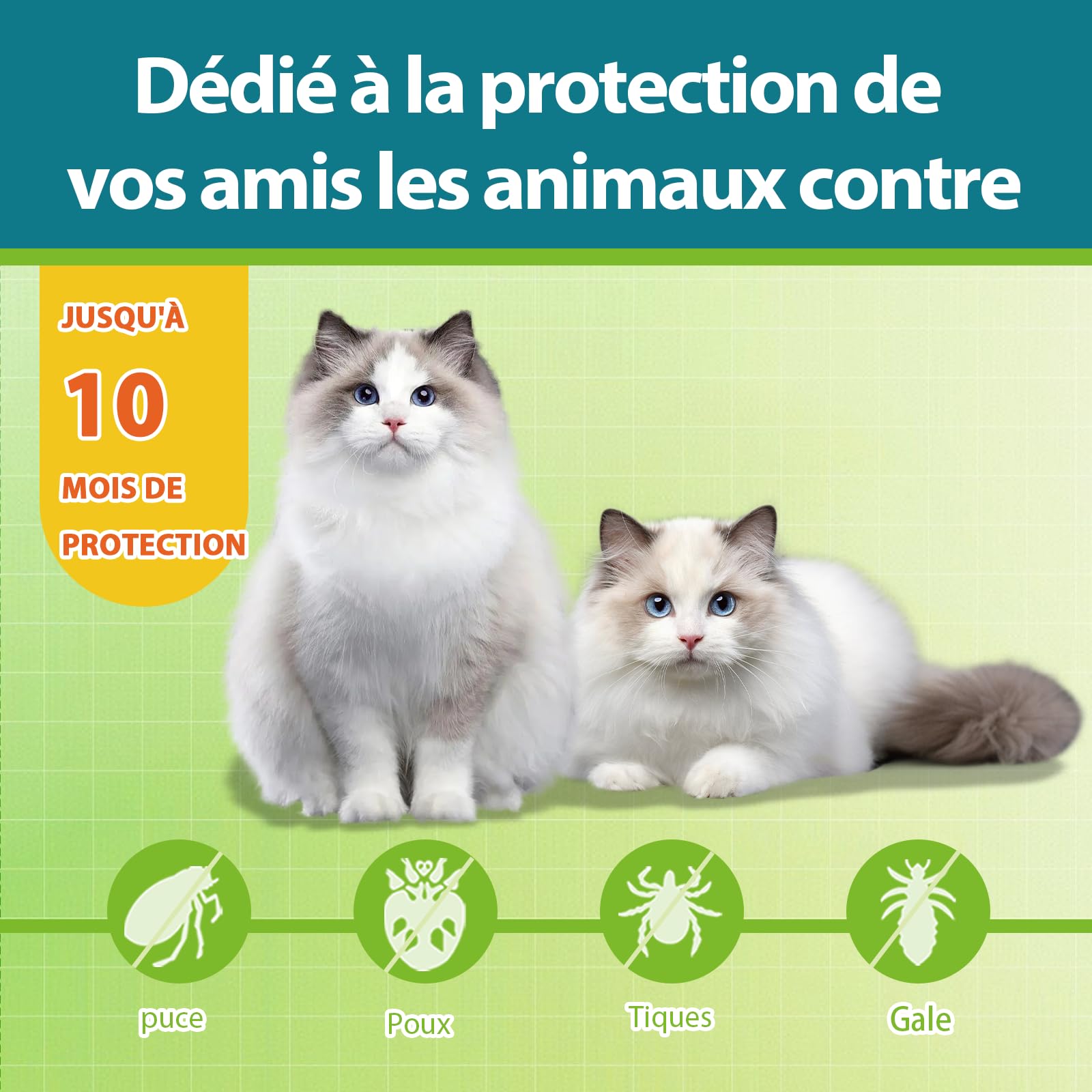 Collier Anti-puces pour Chat, Sûr Et Efficace Collier Anti Tique Chat, Fabriqué avec des Huiles Essentielles Naturelles, Adapté Aux Petits, Moyens Et Grands Chats, Efficace Pendant 10 Mois (48cm)