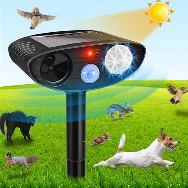 Pet & Wild Animal Control Amazon.co.uk