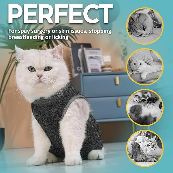 Avont Body Chat Post Opératoire Stérilisation, Combinaison de Récupération pour Chat Anti Léchage, Cat Recovery Suit après Chirurgie, Protection Post-Chirurgie, Contre Les Maladies de Peau -Gris(S) - 5