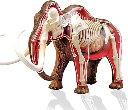 4D Master Mammoth Model Assembled Animal Figure Detachable Education Gift