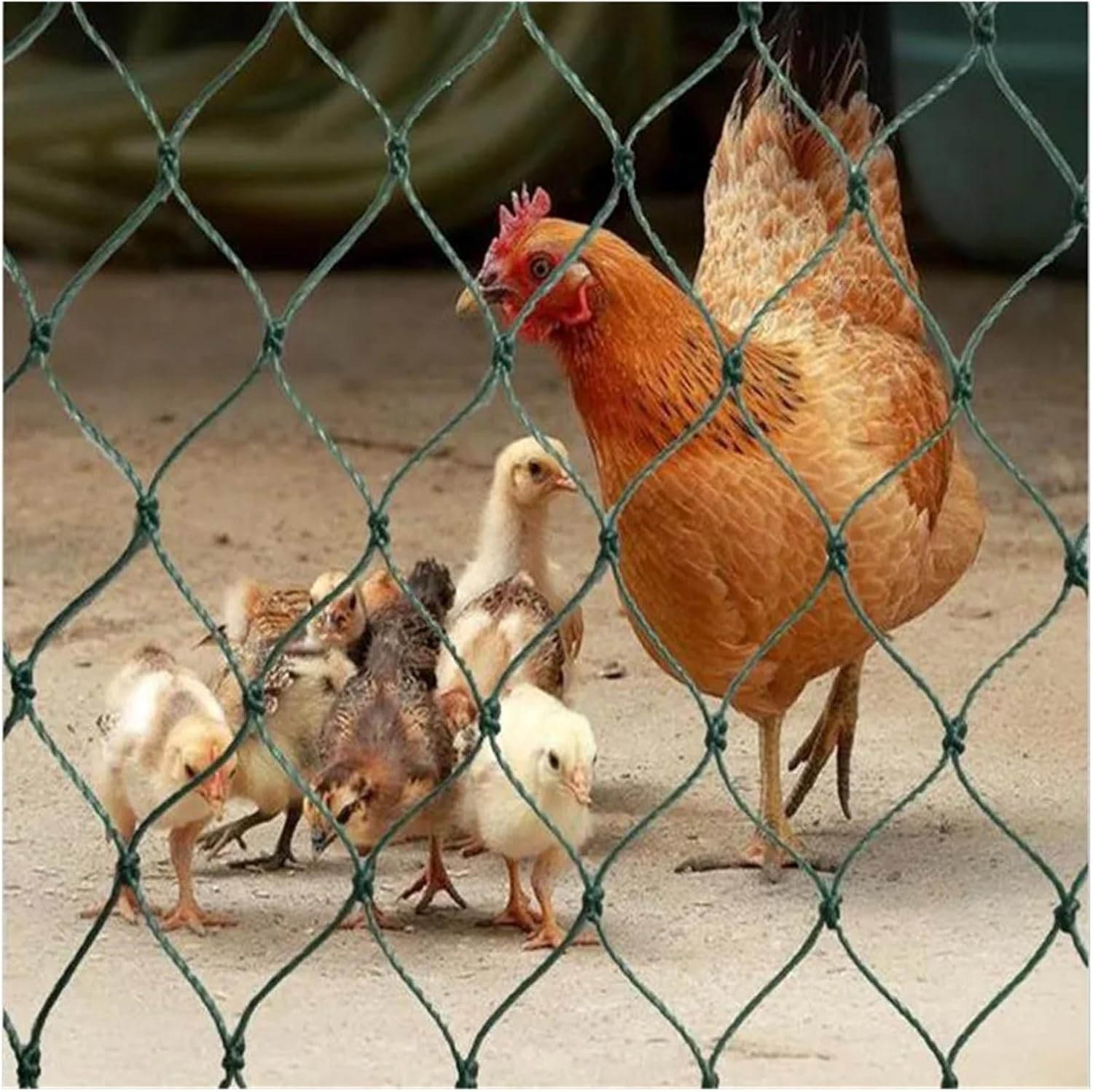 10m 50m Agricultural Protection Net Gardening Net Garden Fence Bird Net Breeding Climbing Rattan Net Chicken Cat Net(6-Strands Mesh 2CM,2m x 5m)