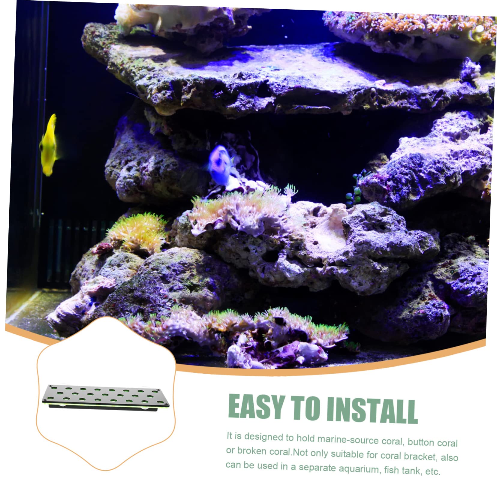 YARNOW Support à Boutures de Corail Aquarium 23 Trous Double Couche | Acrylique, pour Coraux Marins et Fragments Cassés, Placement et Fixation Ferme