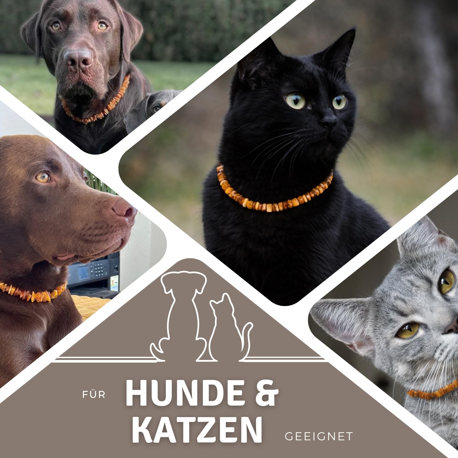 orthopdisches hundebett xxl Orthopdisches Hundebett Deluxe  Wahre Tierliebe