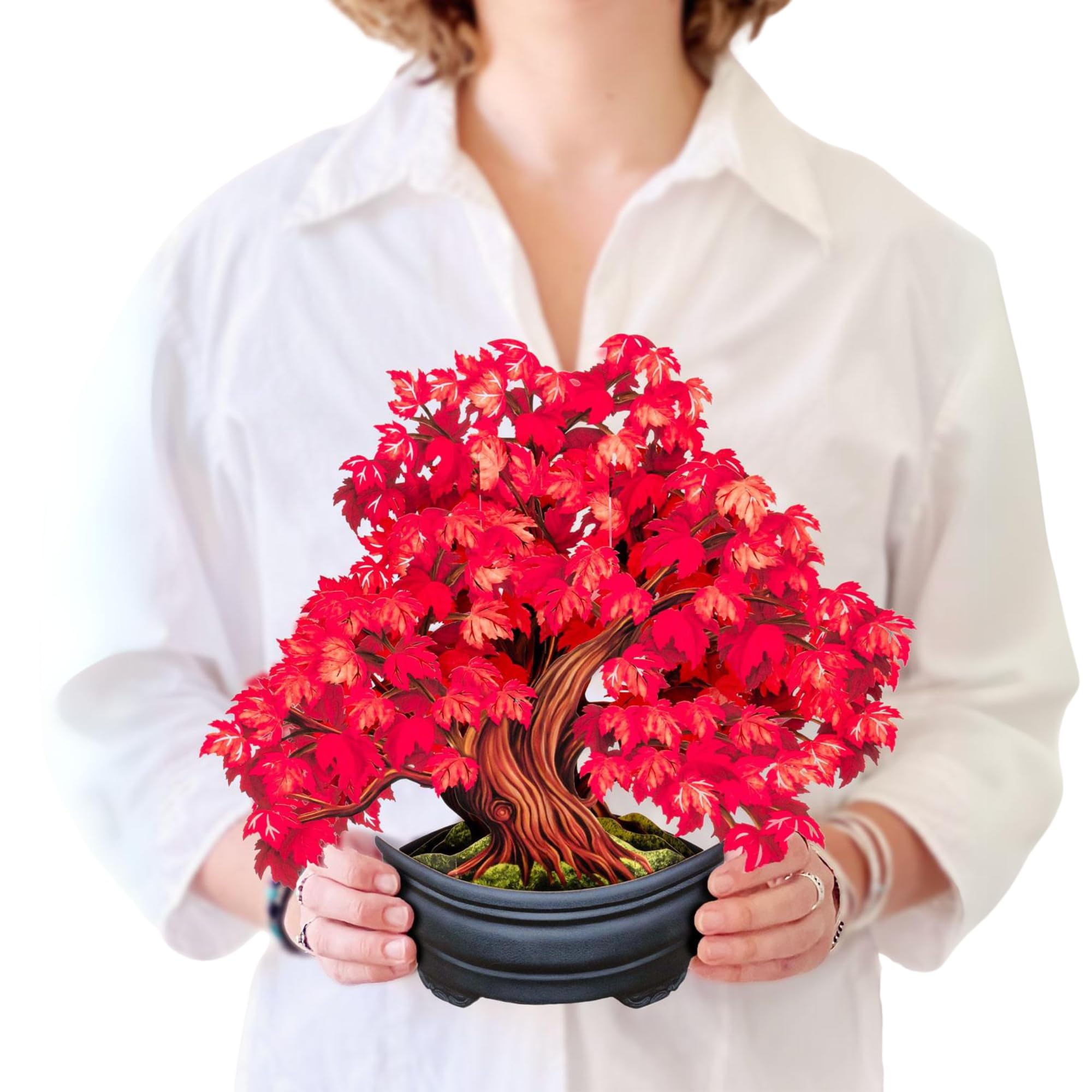 Freshcut Paper Pop Up Cards, Red Maple Tree, 12 Inch Life Sized Forever Flower Bouquet 3D Popup Greeting Card, Autumn Cards, Birthday Card, Blank