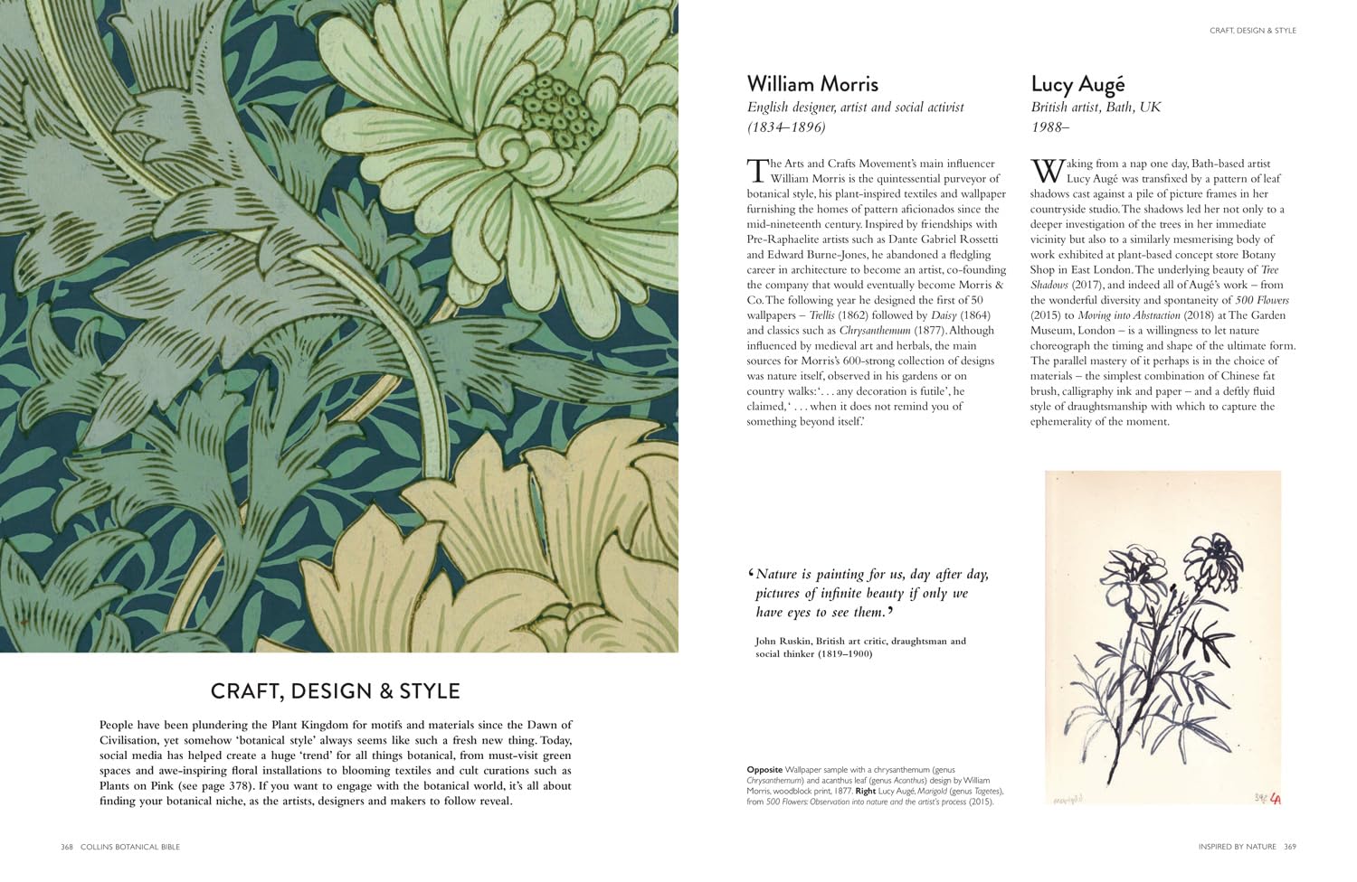 Collins Botanical Bible: A Practical Guide to Wild and Garden Plants