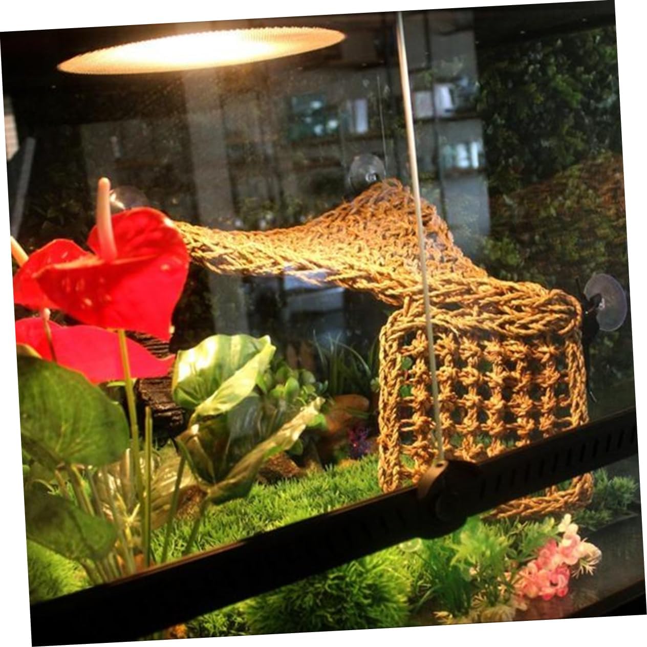 Lizard Sleep Bed Triangle Pet Hammock Suction Cup Bunk Cage Comfortable Reptile Hammock for Anoles