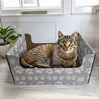 SnuggleSprunce arranhador 2 em 1 para gatos, brinquedo resistente, caixa de papelão ecológica com almofada dupla face recarregável, para gatos e gatinhos, móveis internos para animais de estimação