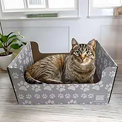 SnuggleSprunce arranhador 2 em 1 para gatos, brinquedo resistente, caixa de papelão ecológica com almofada dupla face recarregável, para gatos e gatinhos, móveis internos para animais de estimação