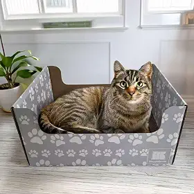 SnuggleSprunce arranhador 2 em 1 para gatos, brinquedo resistente, caixa de papelão ecológica com almofada dupla face recarregável, para gatos e gatinhos, móveis internos para animais de estimação