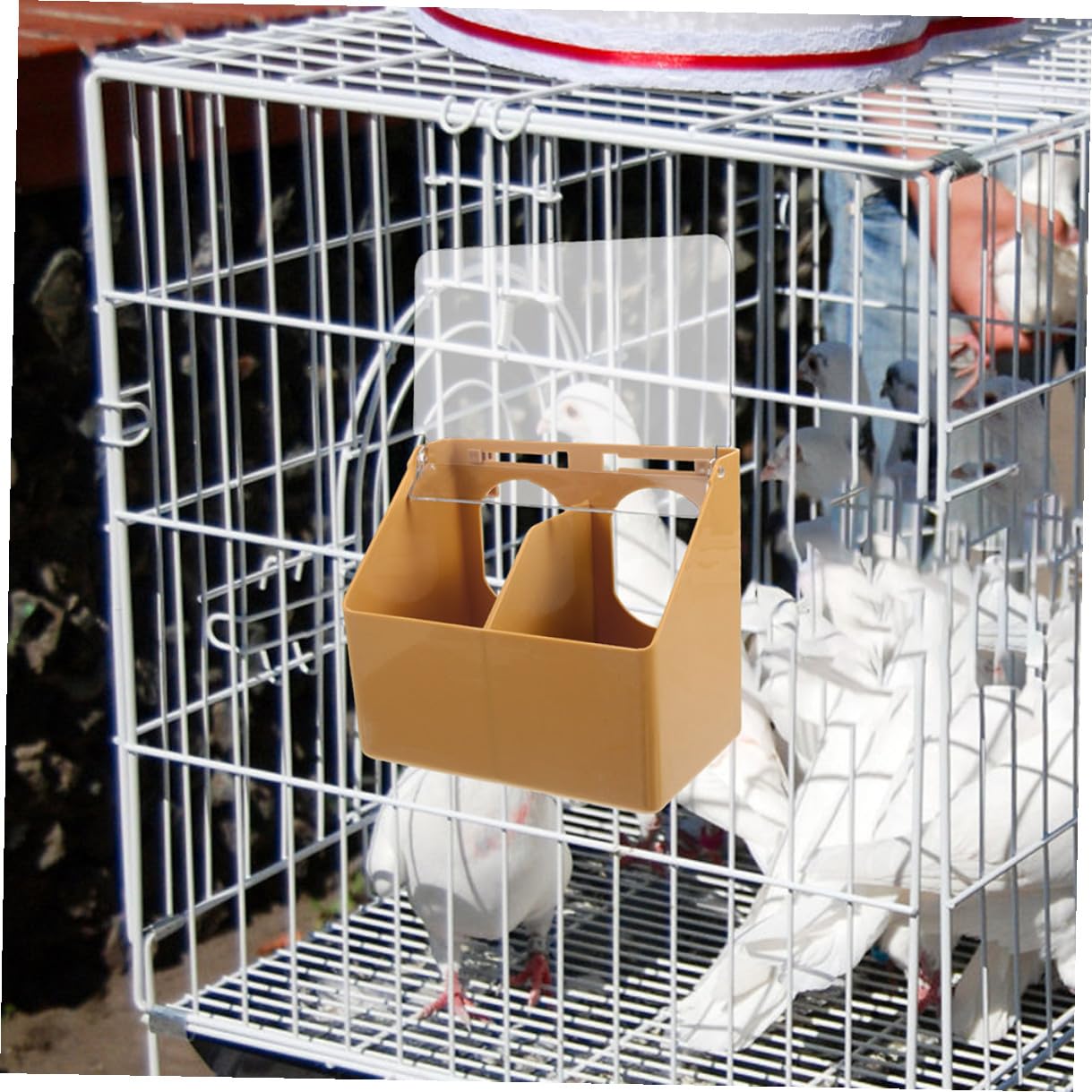 SHINEOFI 3 pièces Boîte Mangeoire à Suspendre pour Perroquets avec Couvercle Distributeur Alimentaire Double Compartiment Plastique pour Cage à Oiseaux Accessoire Pratique Antigaspillage