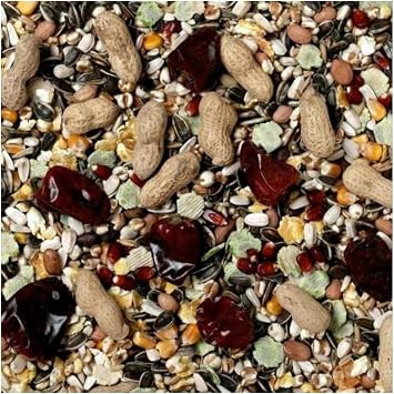 Johnston & Jeff 10kg No 1 Parrot bird seed food sold by Trusty Pet Supplies