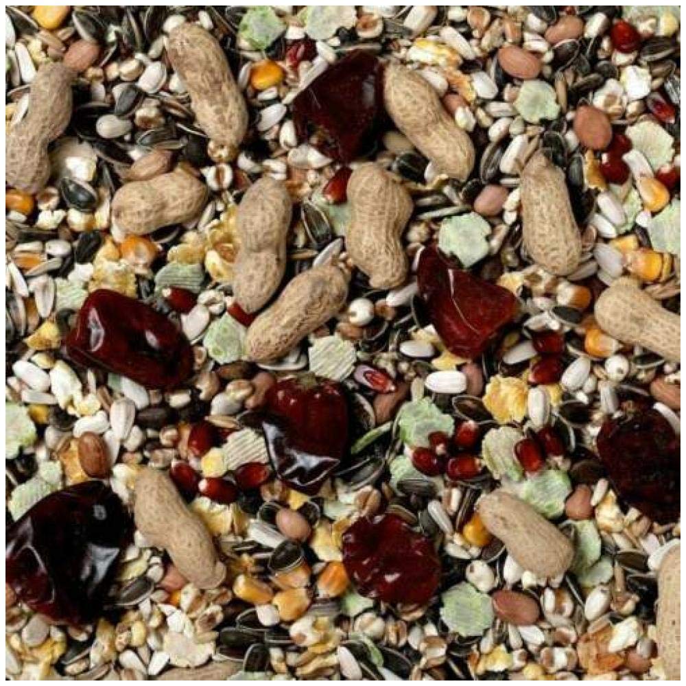 Johnston & Jeff 5kg No 1 Parrot bird seed food sold by Trusty Pet Supplies