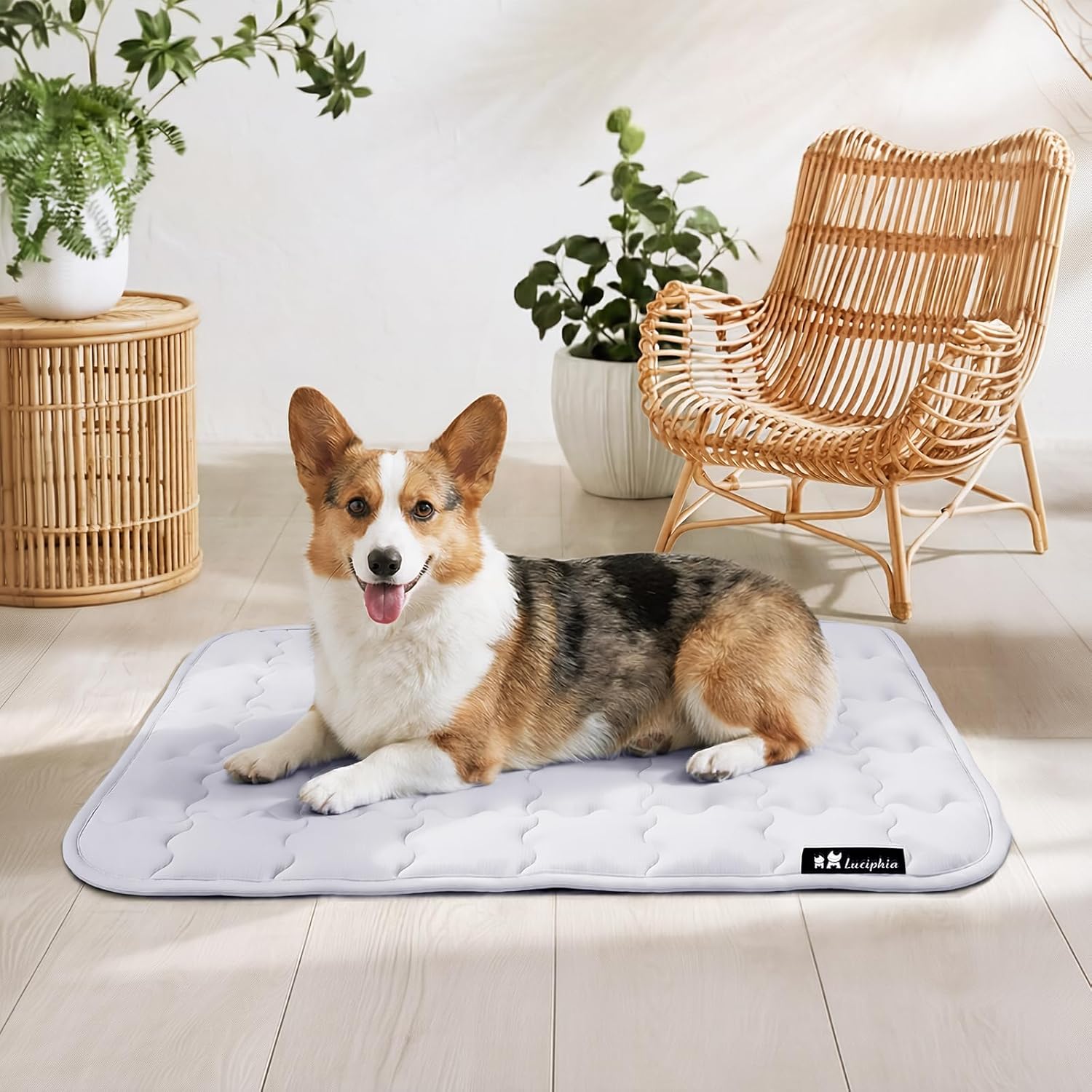 Luciphia Premium Dog Cooling Mat Non-Slip Q-MAX>0.5 Self-Cooling Pad for Medium Pet Indoor Portable Kennel Puppy Bed for Summer Crate Pad for Dog Washable Light Grey 30x40 inches
