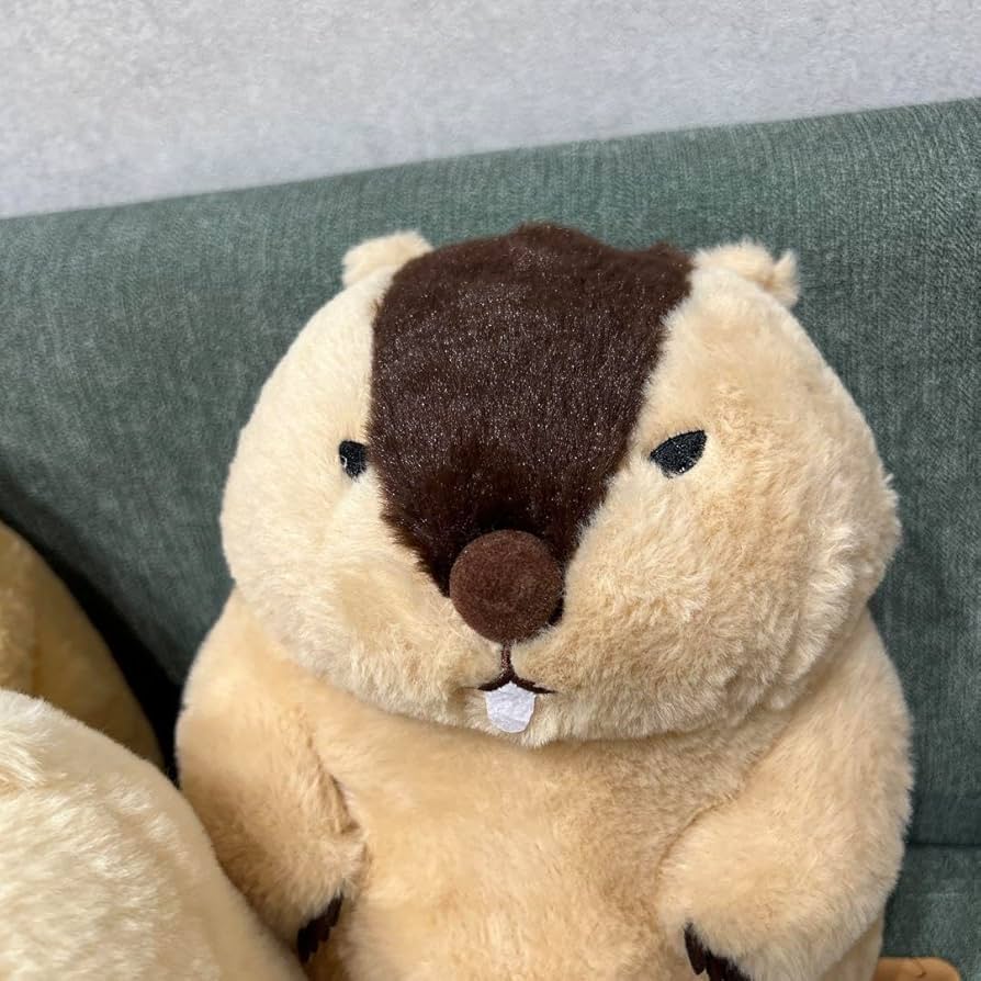 マーモットのもっとっと　ぬいぐるみ　5個セット マーモットのもっとっと ぬいぐるみ 5個セット 株式会社