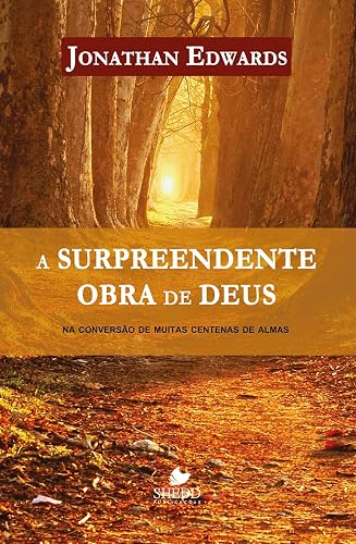 Surpreendente Obra de Deus, a