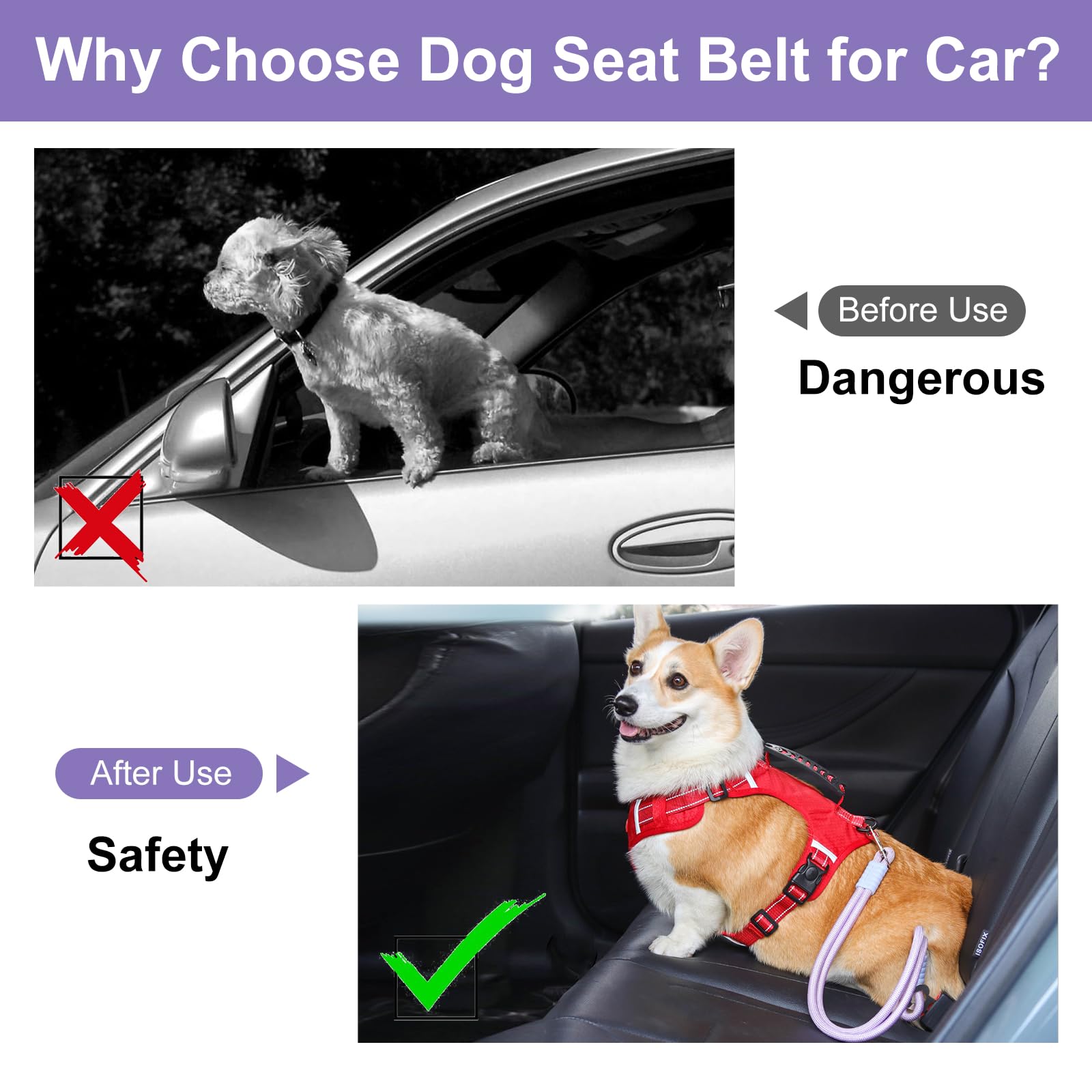 2 Stück Anschnallgurt Hund Auto,Hundeanschnaller fürs Auto,Universelle Sicherheitsschnalle, passend für Autokopfstütze，Kann als Leine verwendet Werden, geeignet für alle Hunde und Katzen (Purple)