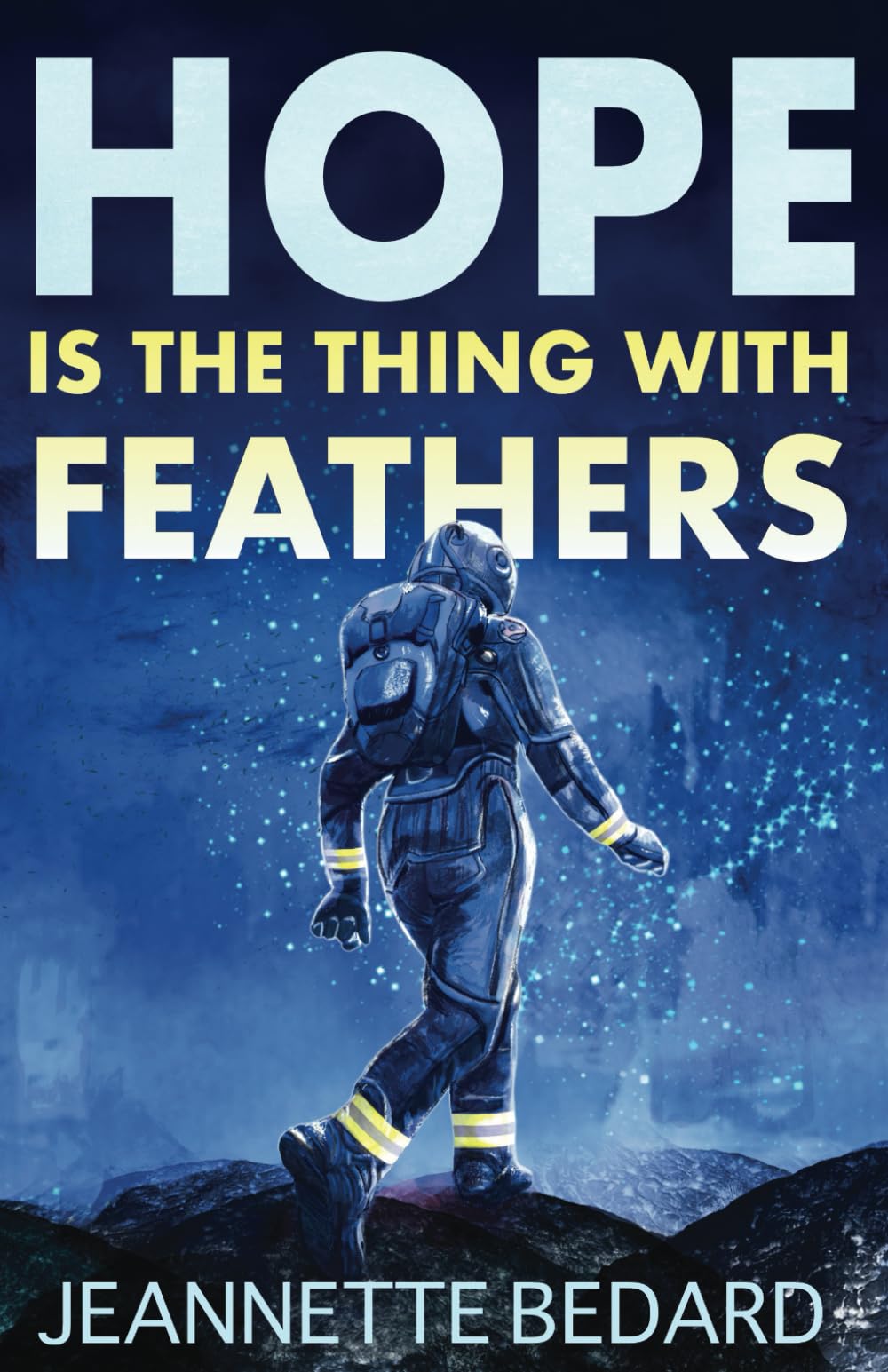 Book cover for Encoded Universe series