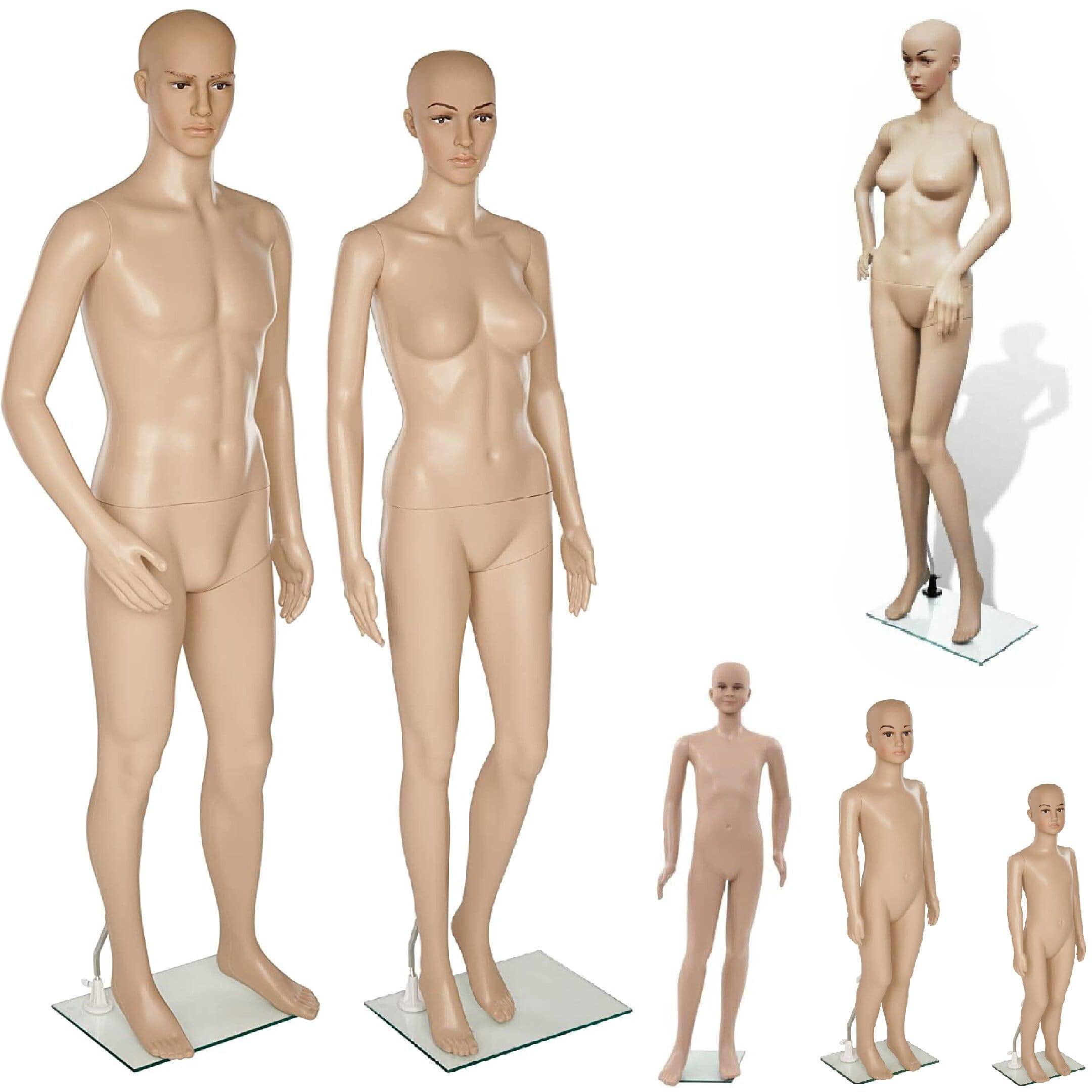 FEMALE Mannequin F-3 Shop Window Mannequin, Rotatable and Portable, Metal Base with Calf pin - Different Models FREE NEXT DAY DELIVERY (FEMALE (F3))