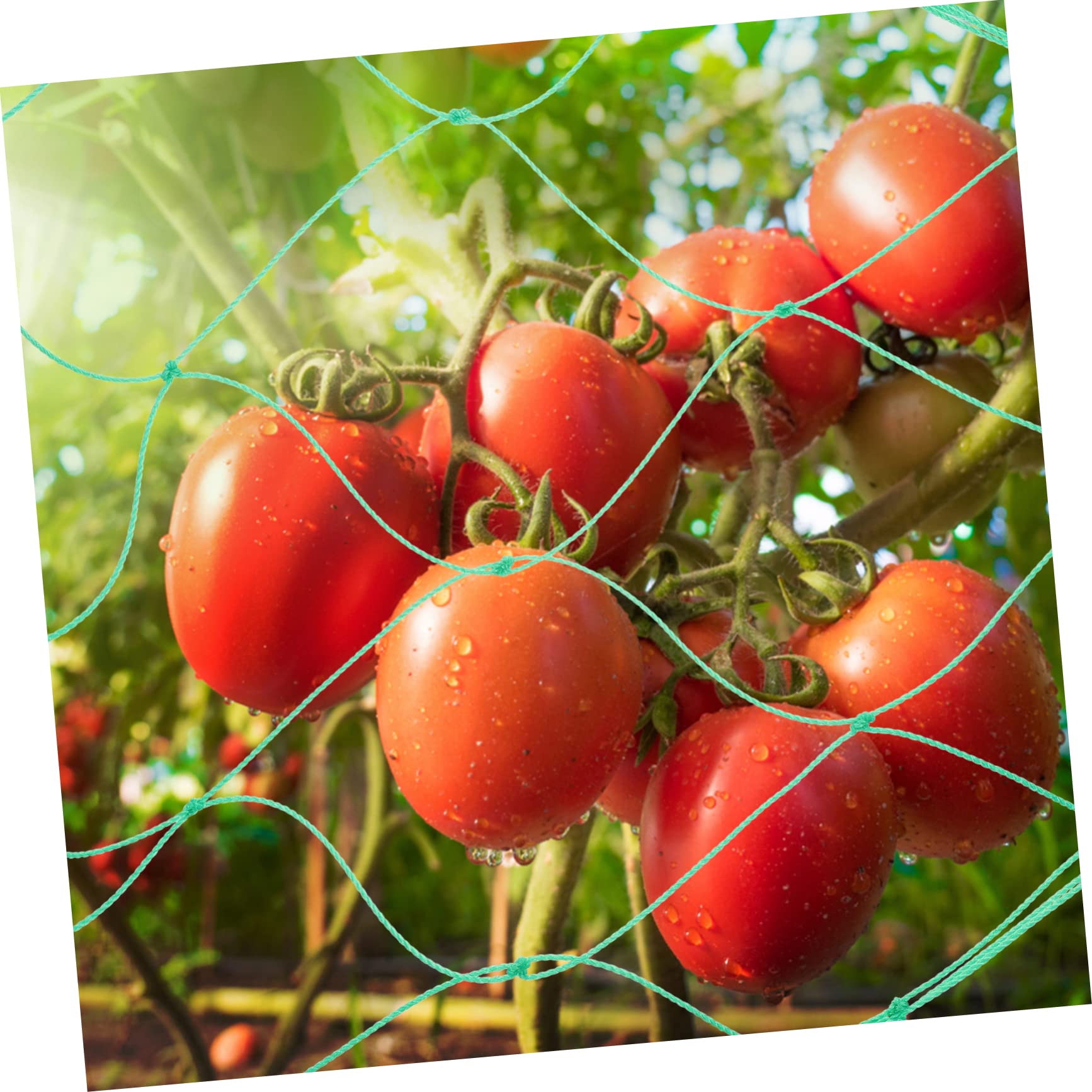 Gartennetz 3 Stück aus Nylon für Gurken und Kürbisranken