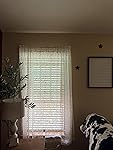 Review Image by Amazon Customer
