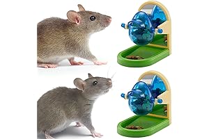 Interactive Rat Toys for Living Enrichment