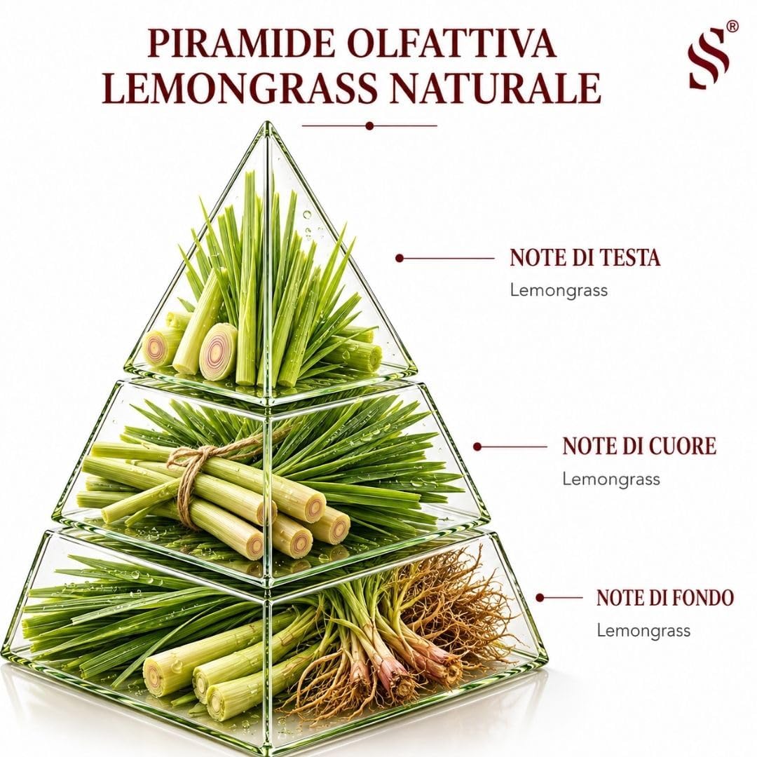 Wkład do dyfuzorów z rozpylaczem Lemongrass, naturalny i świeży zapach do domu i biura, orzeźwiający cytrusowy zapach, 500 ml