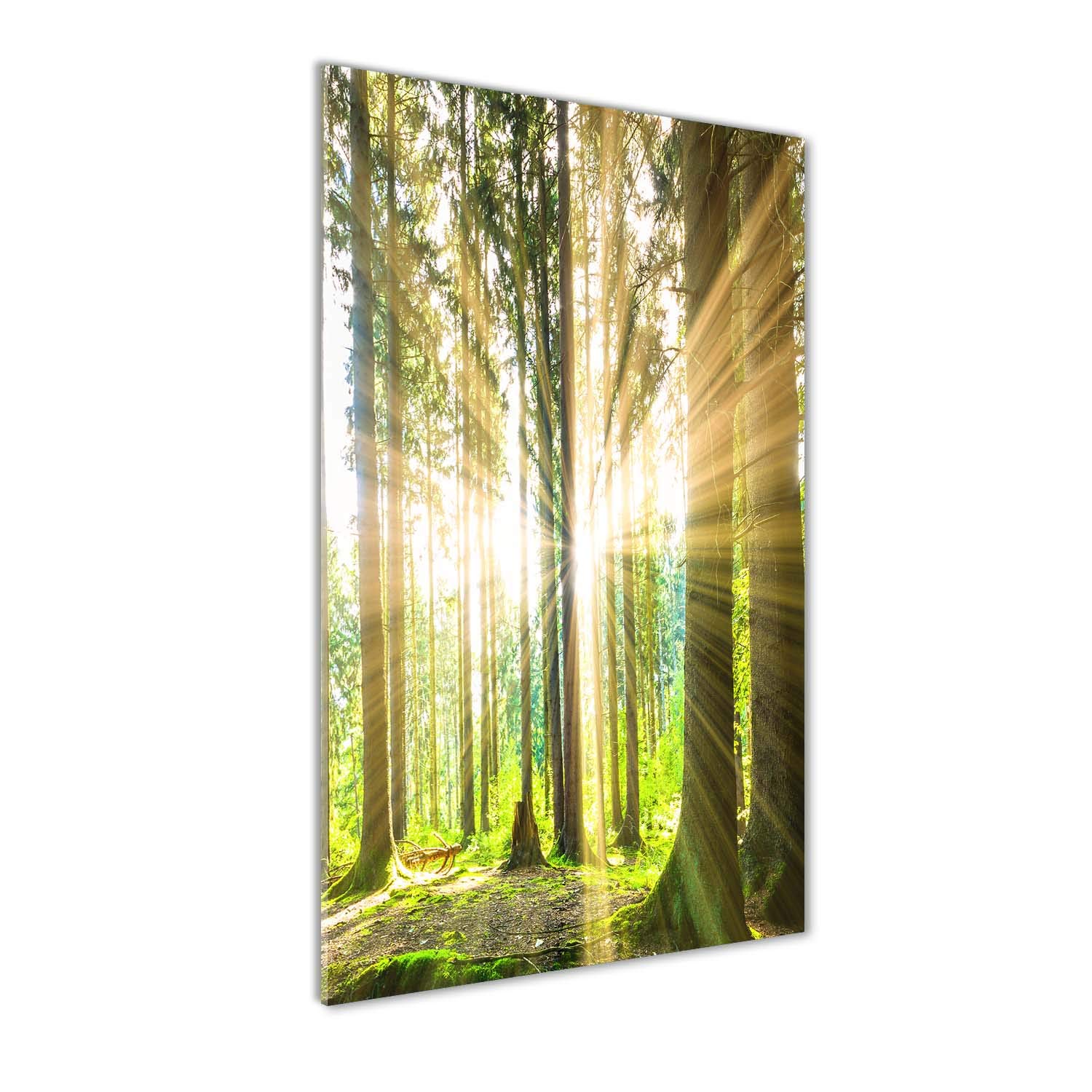 Soleil dans la forêt en Plexiglas 70x140 | Grand Tableau Mural pour Salon Lumineux